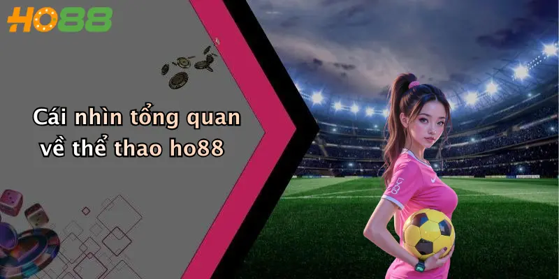 Cái nhìn tổng quan về thể thao ho88