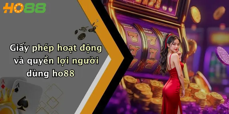 Giấy phép hoạt động và quyền lợi người dùng ho88