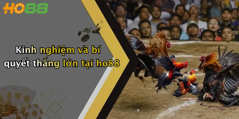 Kinh nghiệm và bí quyết thắng lớn tại ho88