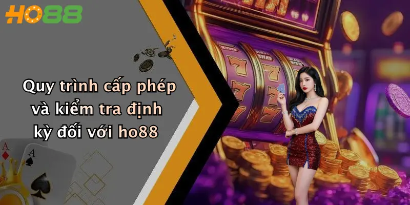 Quy trình cấp phép và kiểm tra định kỳ đối với ho88