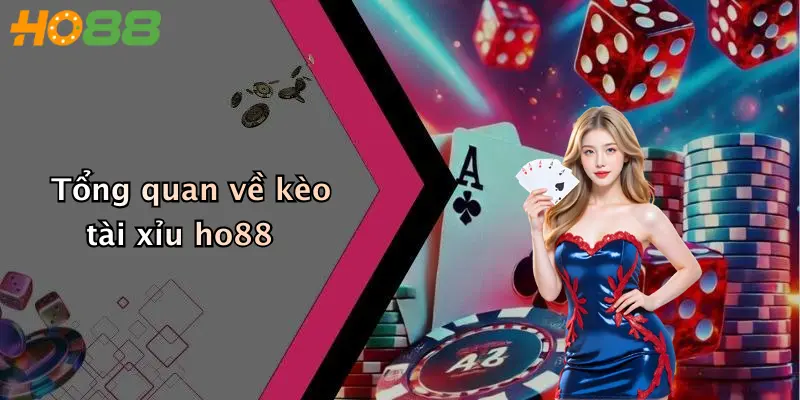 Tổng quan về kèo tài xỉu ho88