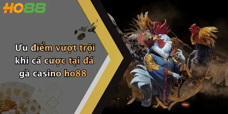 Ưu điểm vượt trội khi cá cược tại đá gà casino ho88